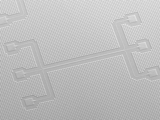 The background image.