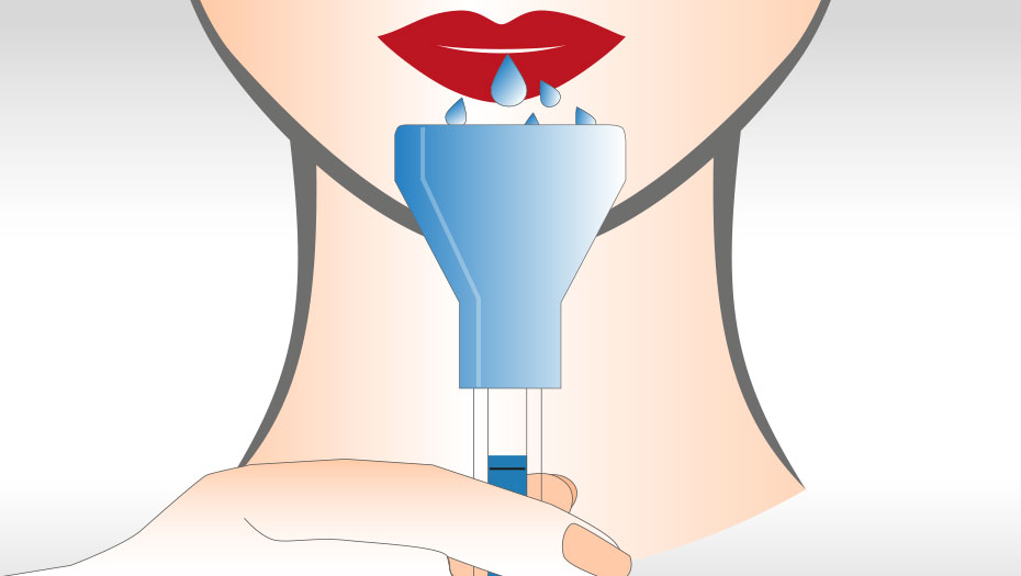 The picture of the member.