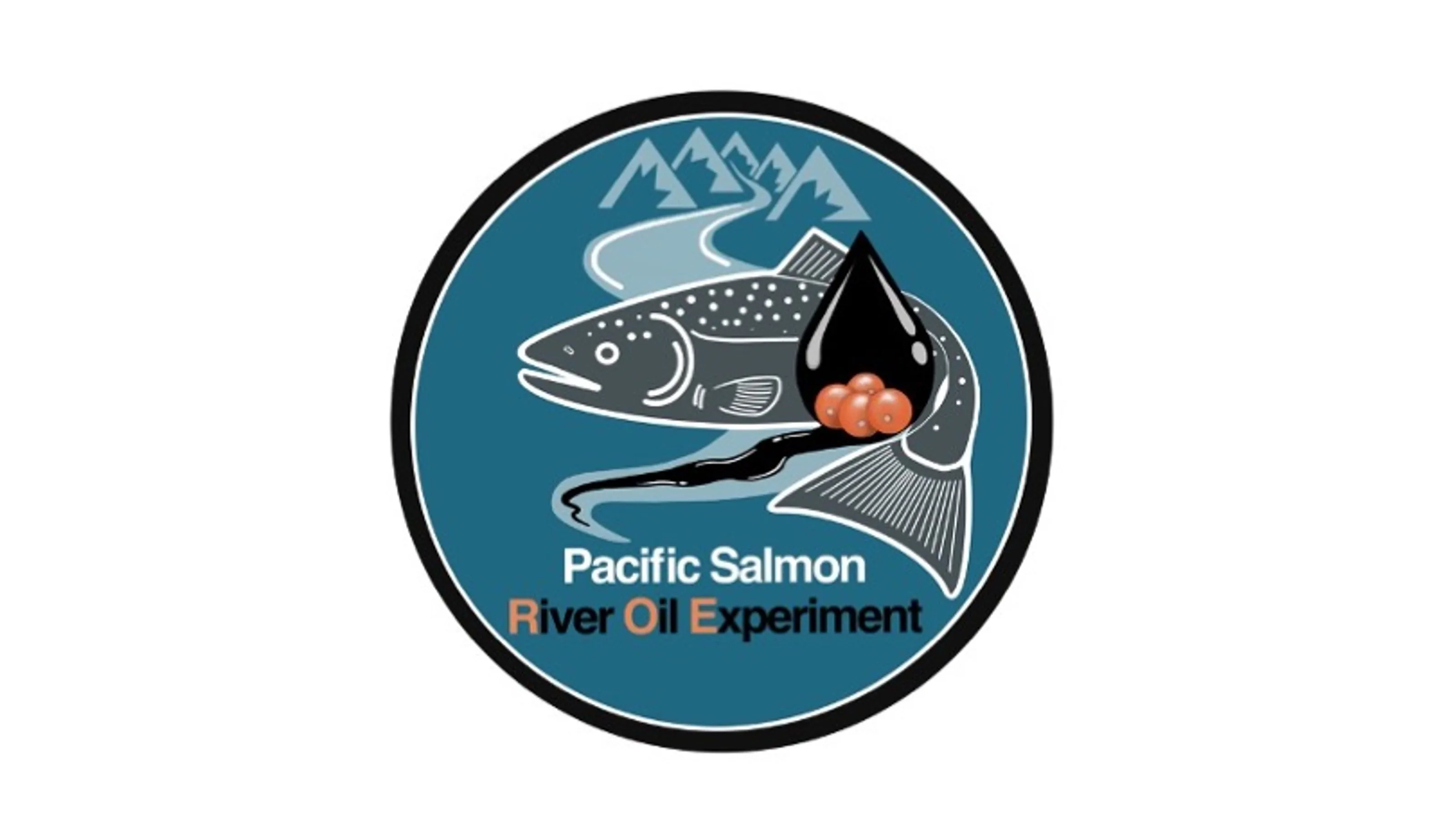 The ROE Project logo