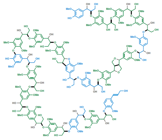 lignin.png