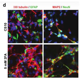 Screenshot 2025-10-25 161015.png