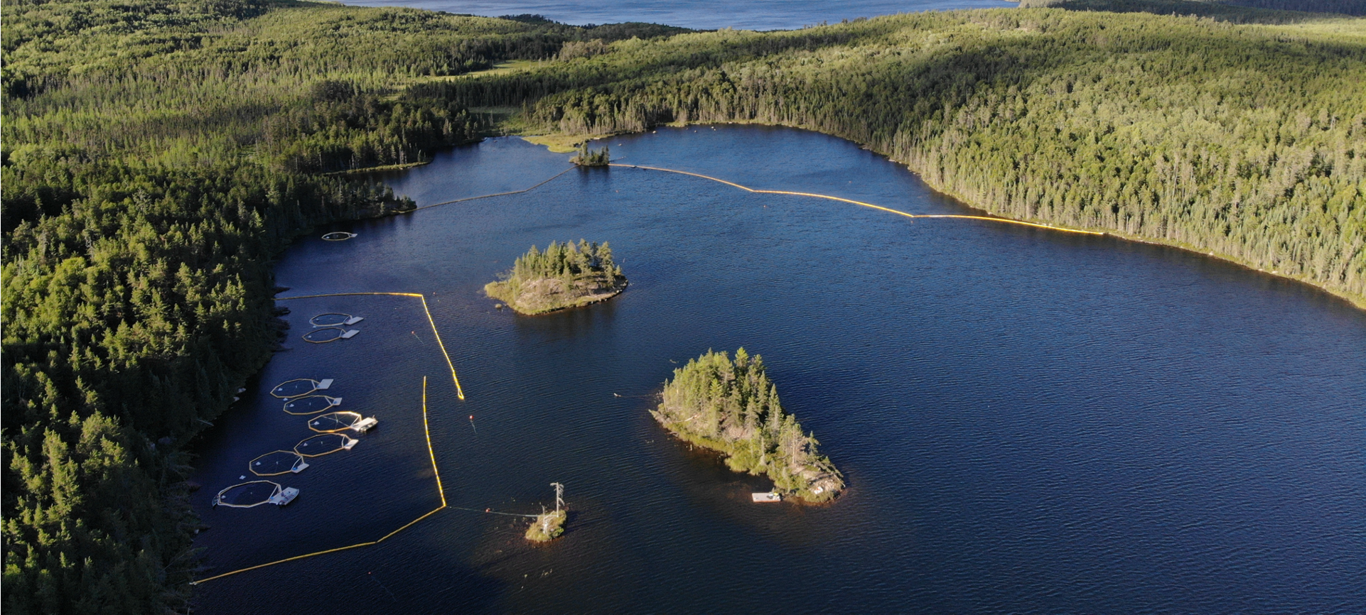 Boreal Lake Oil Release Experiment by Additions to Limnocorrals (BOREAL). This experiment at the IISD Experimental Lakes Area examined the effects of an oil spill to freshwater.