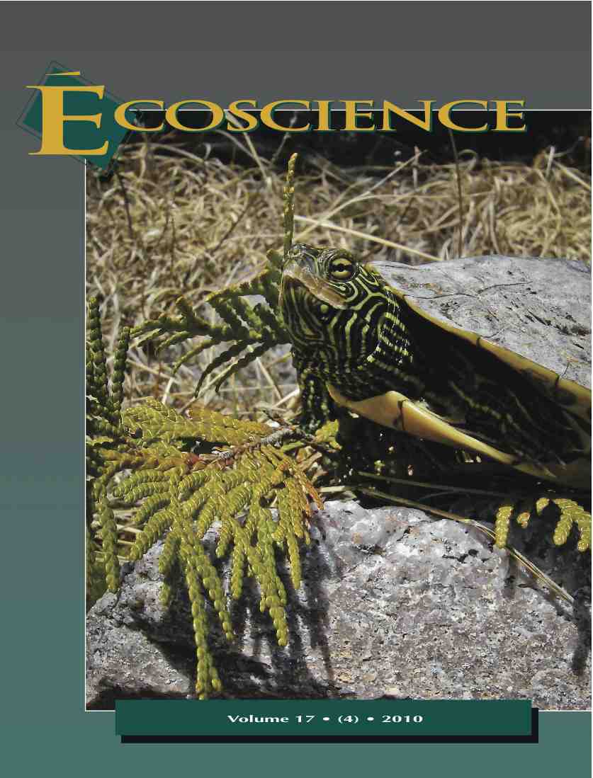 cover_2010_eco.jpg