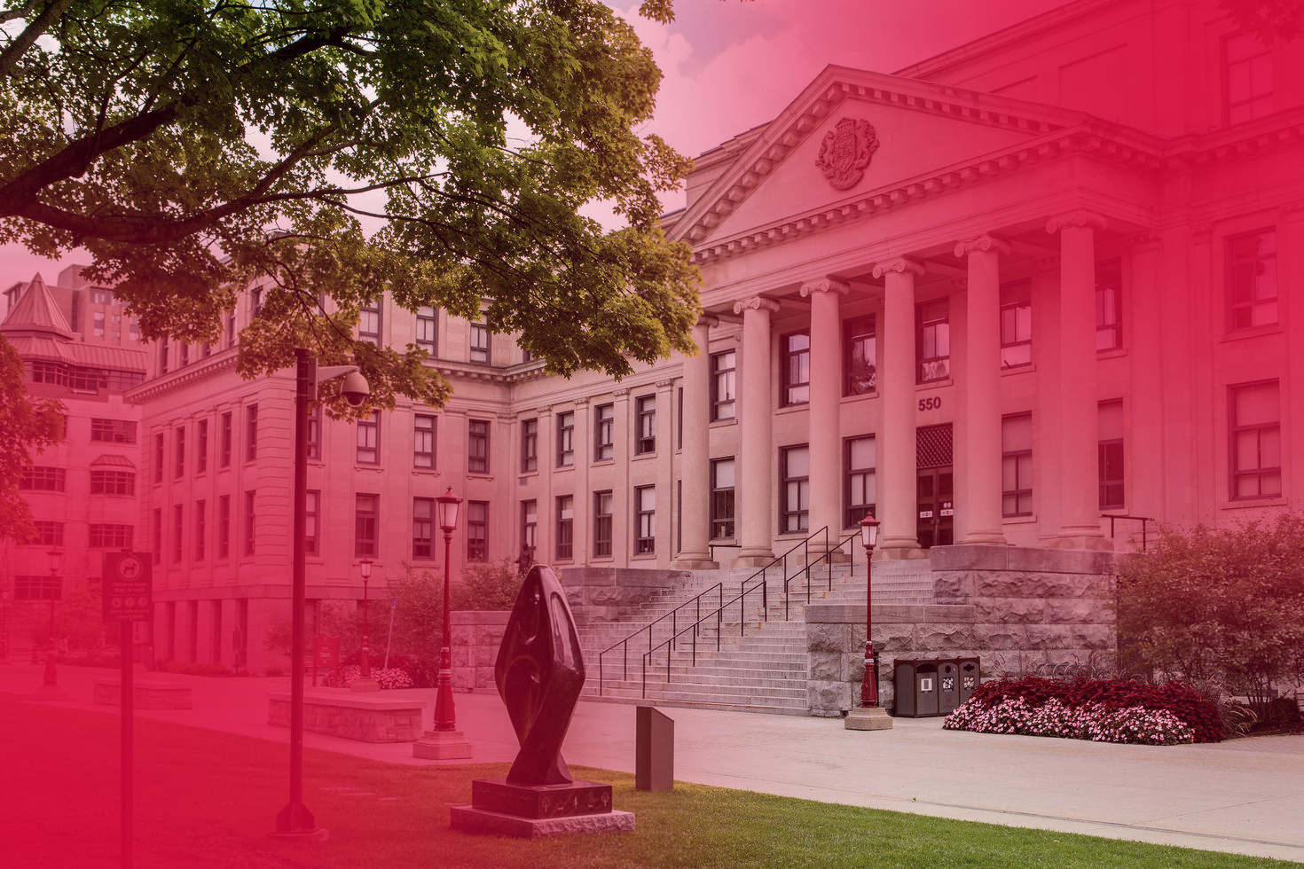 public_law_header_pink.png