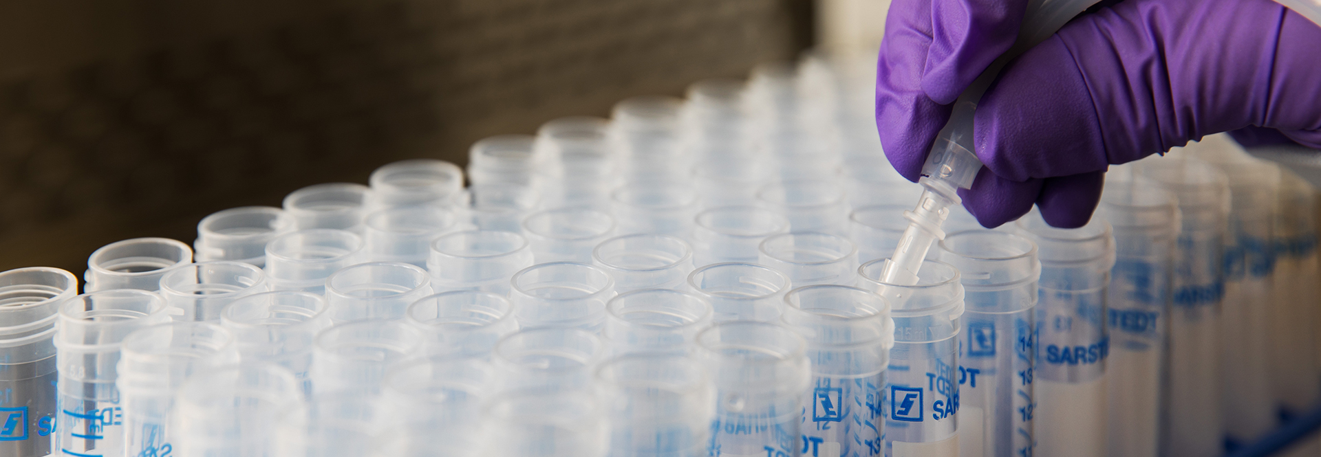 The background image.