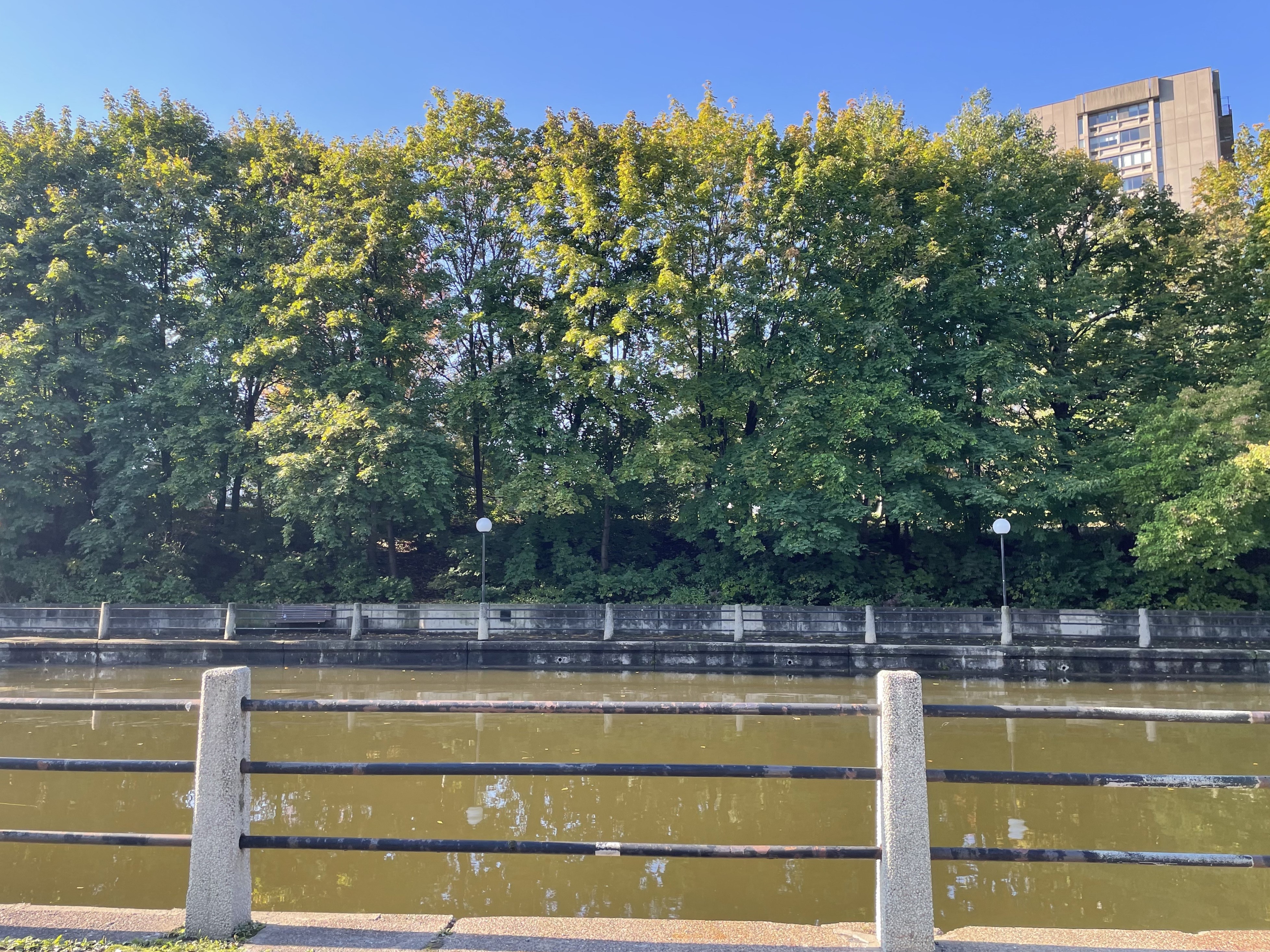 The background image.