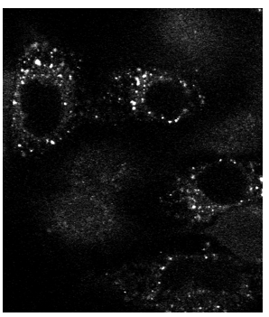 Screenshot 2025-10-25 161214.png