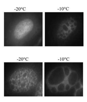 Screenshot 2025-10-25 161008.png