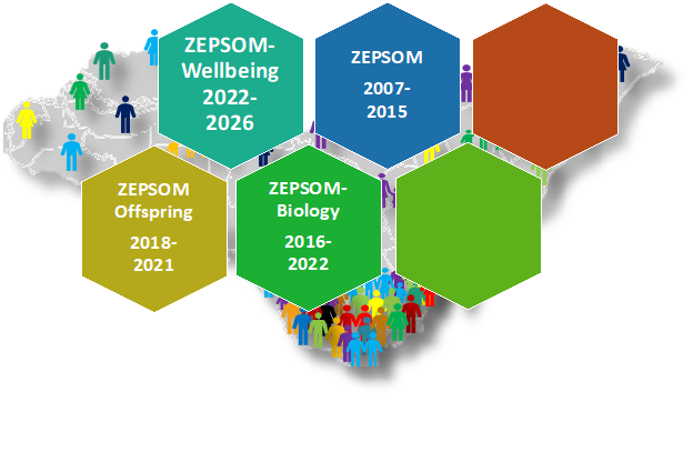 zepsom-overview.png
