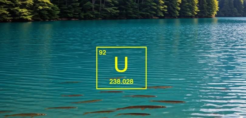 The effects of uranium mines on lakes in Canada