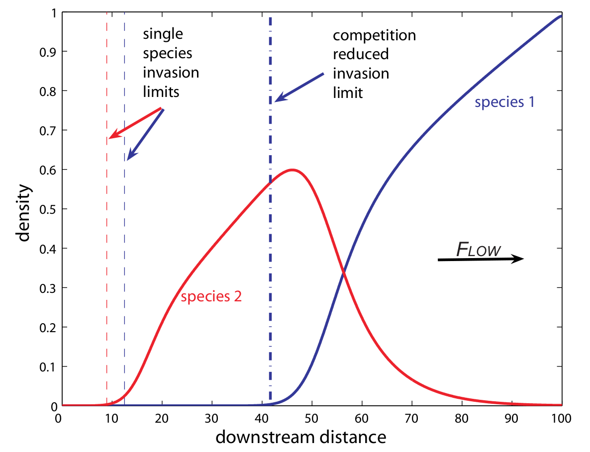 From Lutscher, McCauley and Lewis, Theoretical Population Biology, 2007