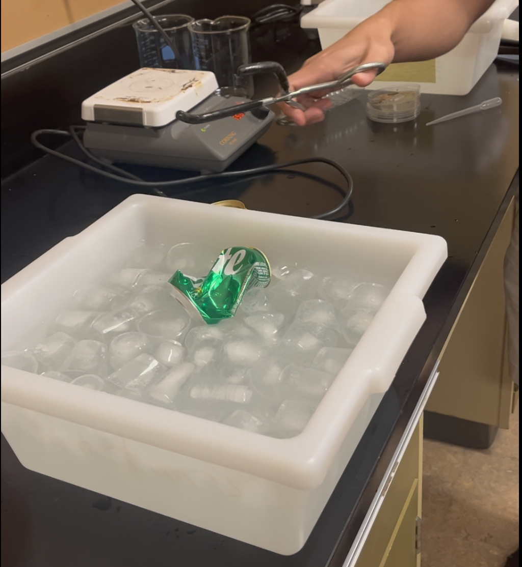 Screenshot 2025-02-11 at 3.28.58 PM.png