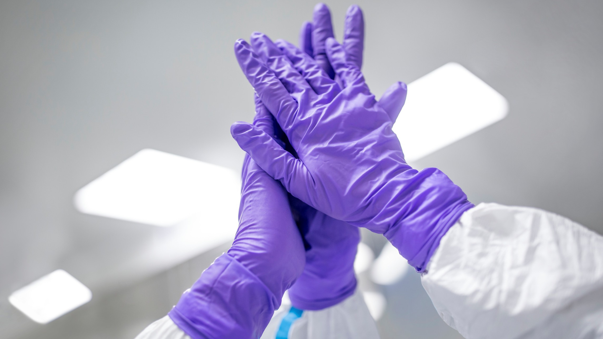 The background image.