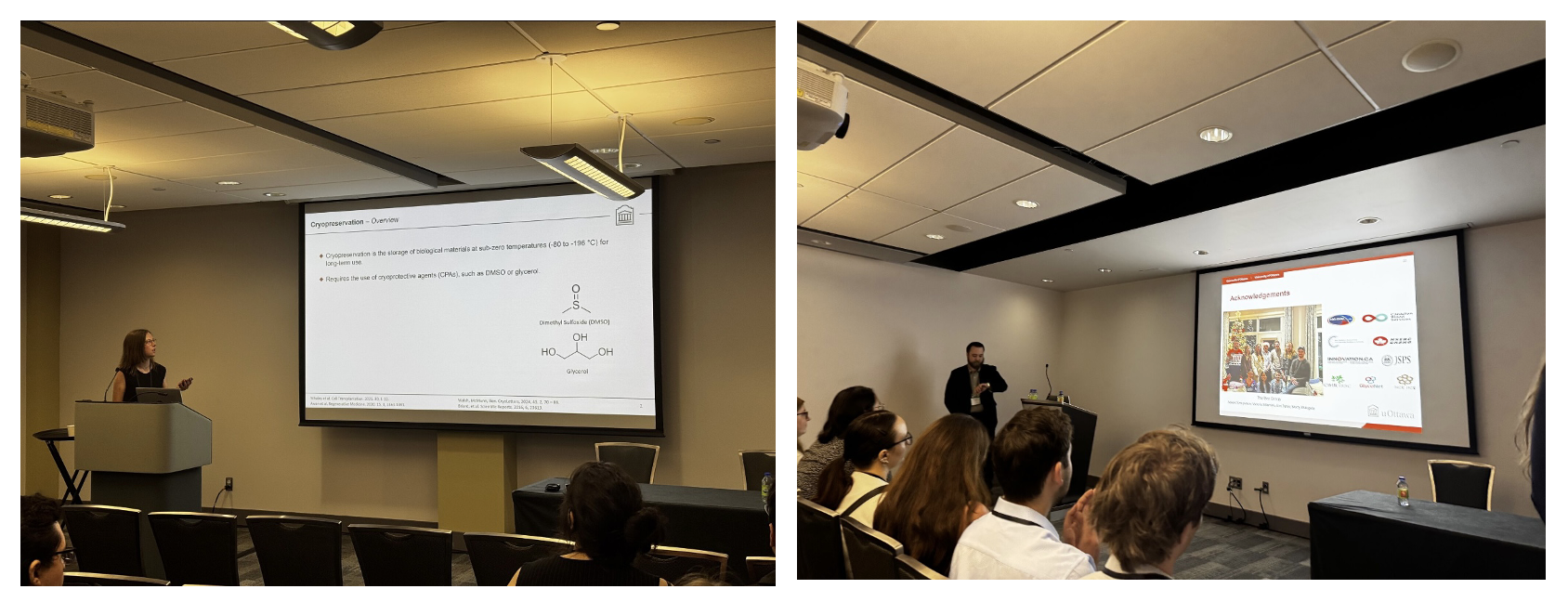 Screenshot 2025-07-01 at 2.26.06 PM.png