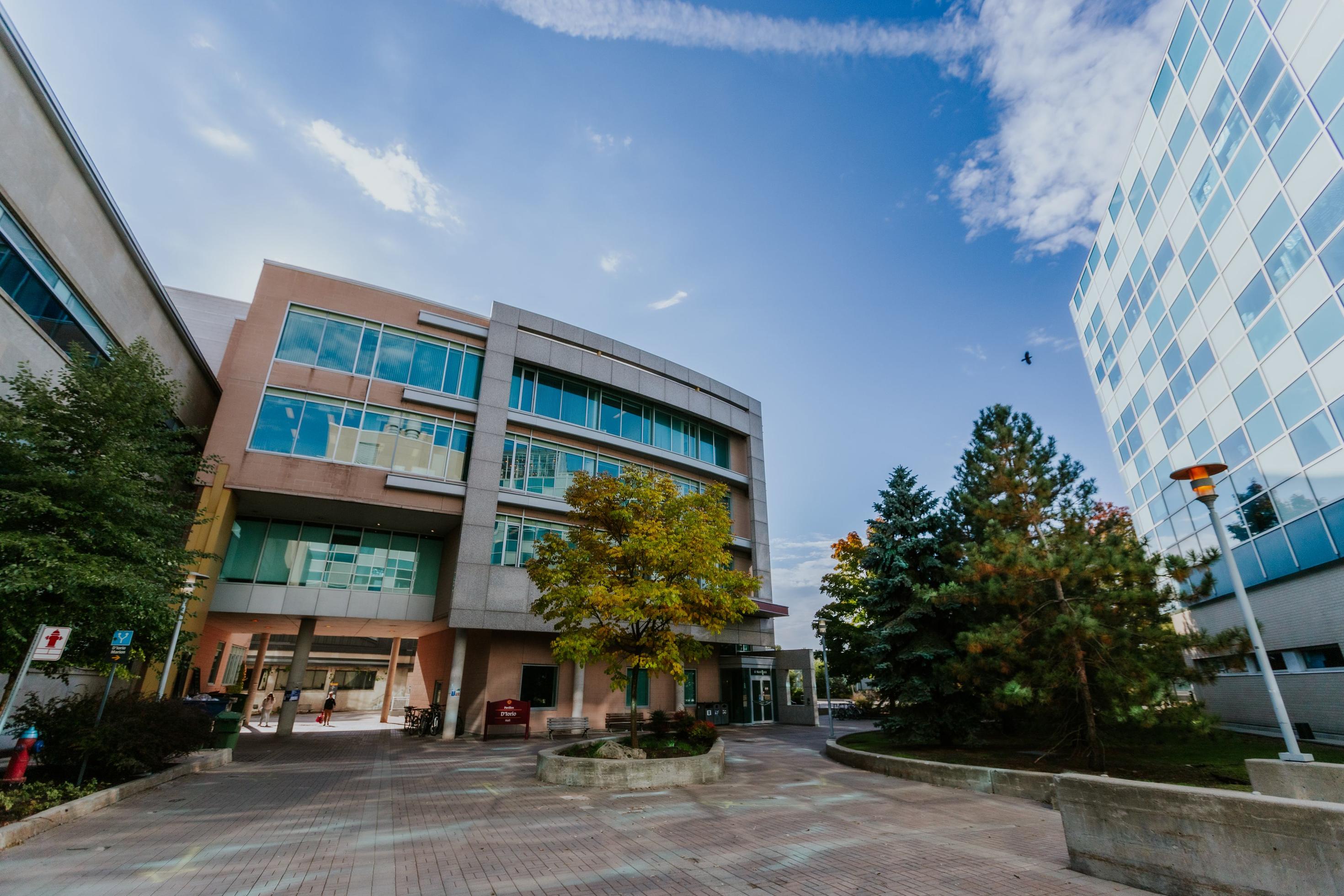 D'Iorio Hall (1).jpg