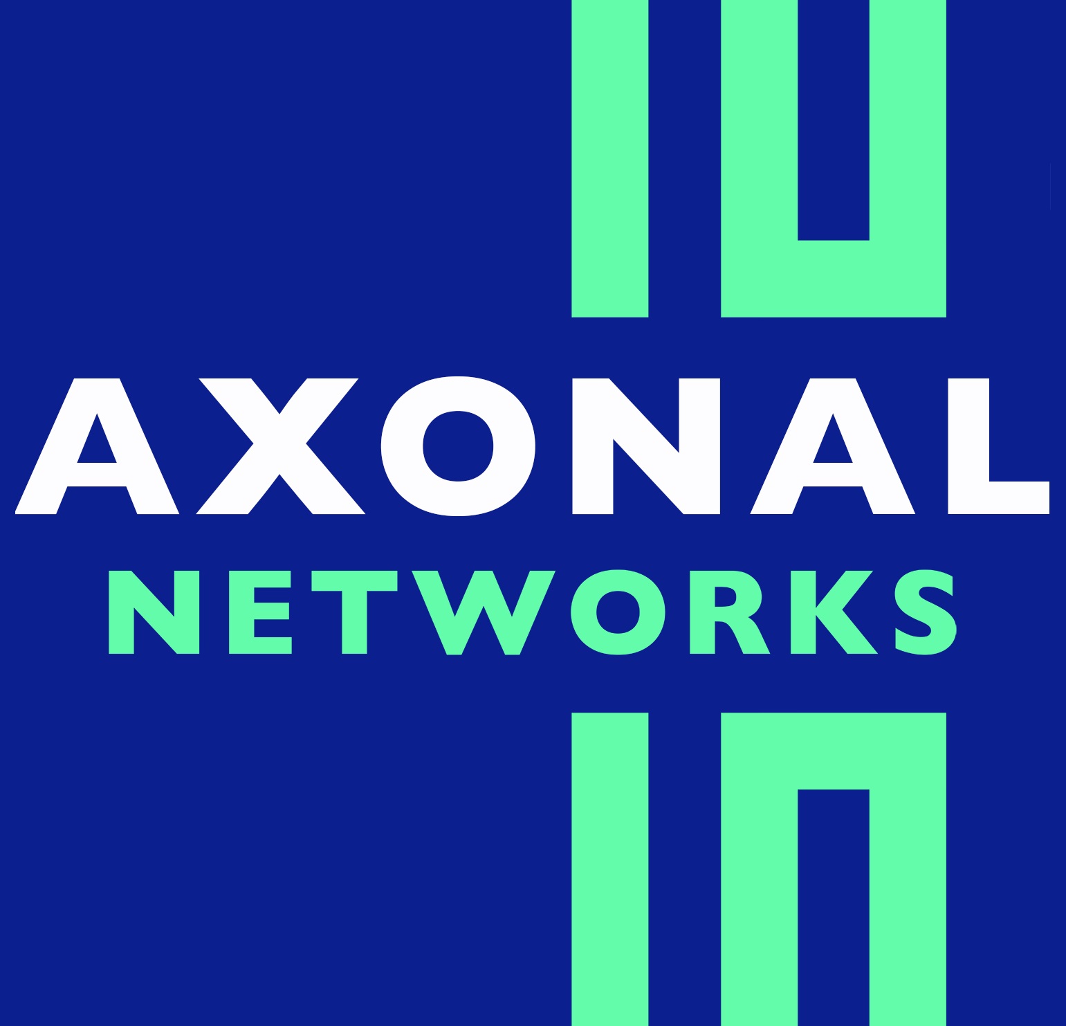 Axonal Networks Logo 001 RBG 23-28-143 RBG 93-255-165.jpg