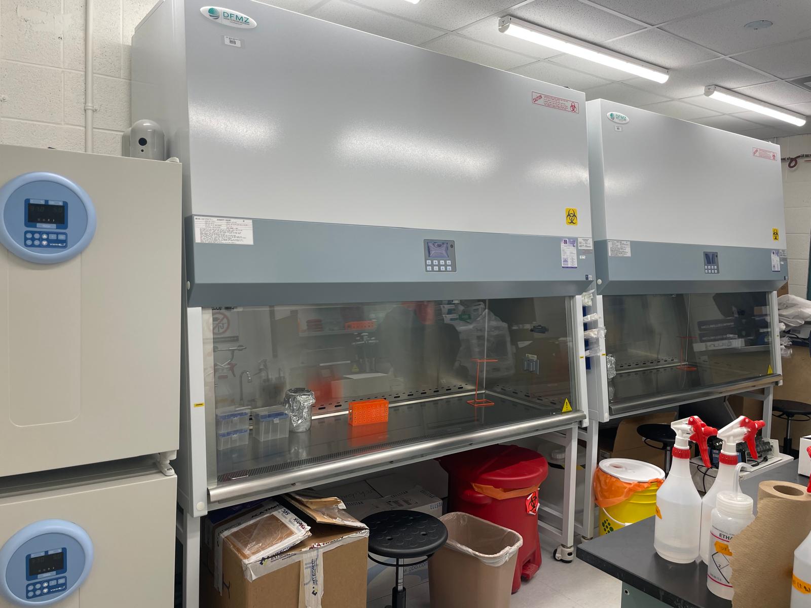 WhatsApp Image 2025-06-28 à 07.03.52_a85195a2.jpg