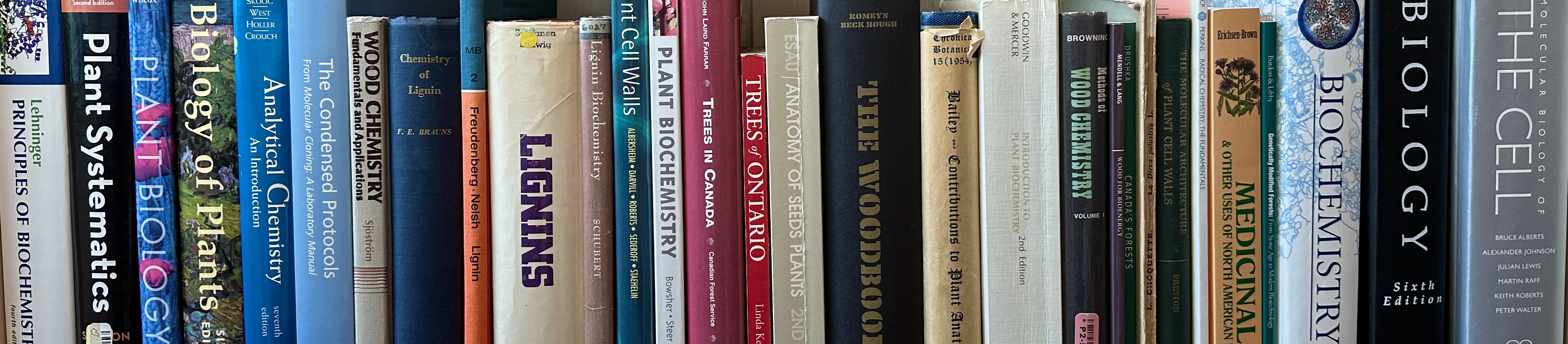 Website - books.jpg