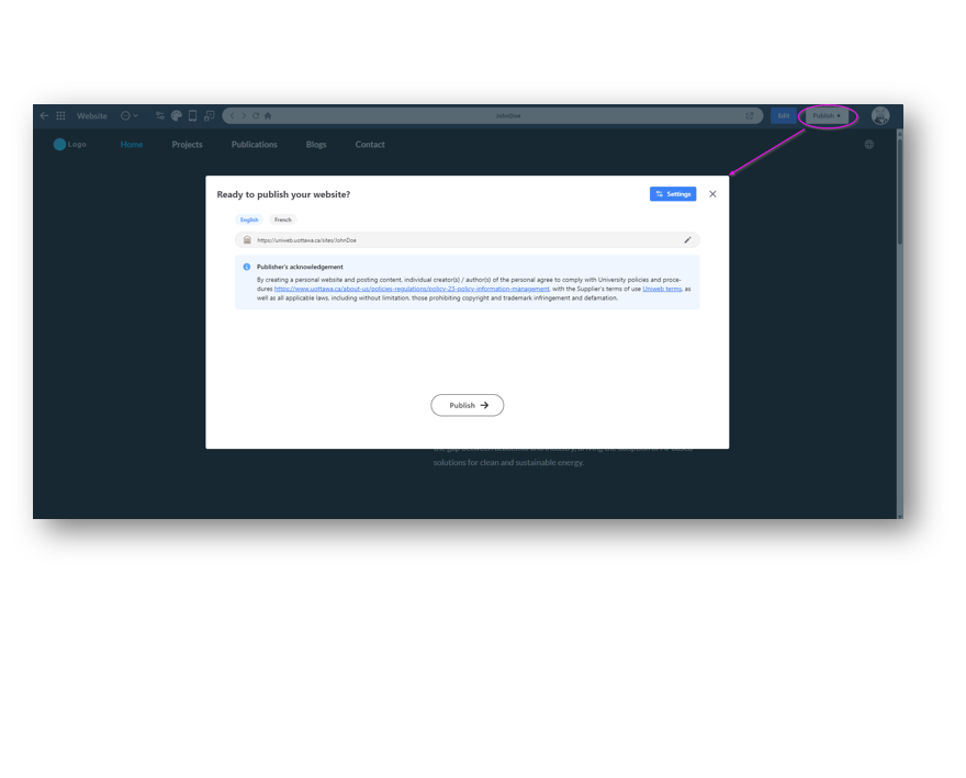 Website publishing dialog