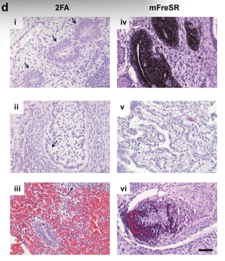 Screenshot 2025-10-25 155705.png