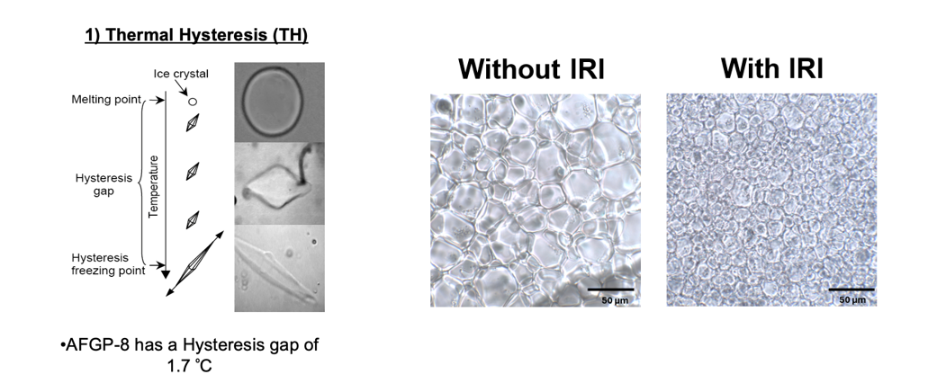 Screenshot 2025-10-25 165732.png