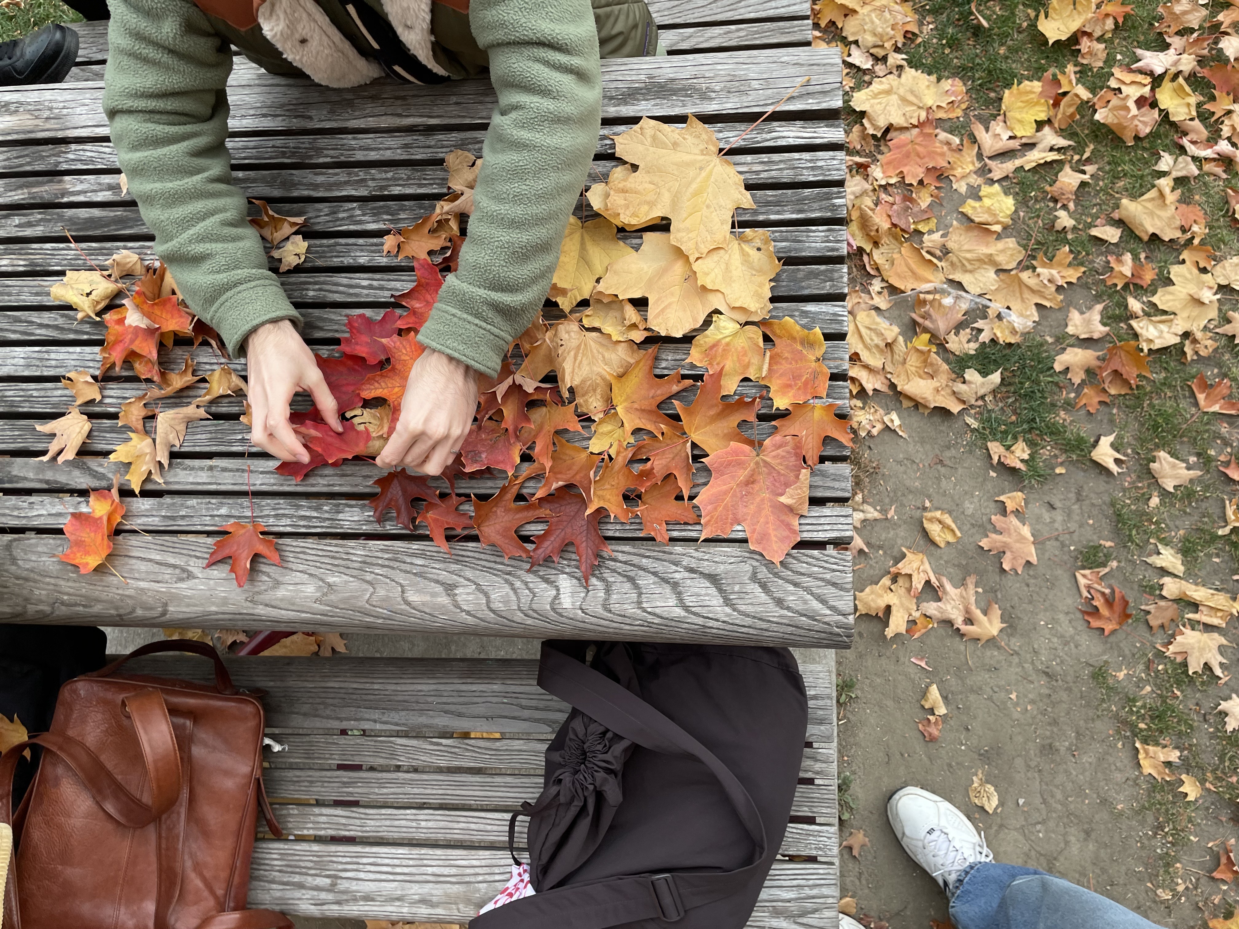 The background image.