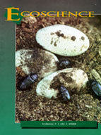 cover_2000_eco.jpg