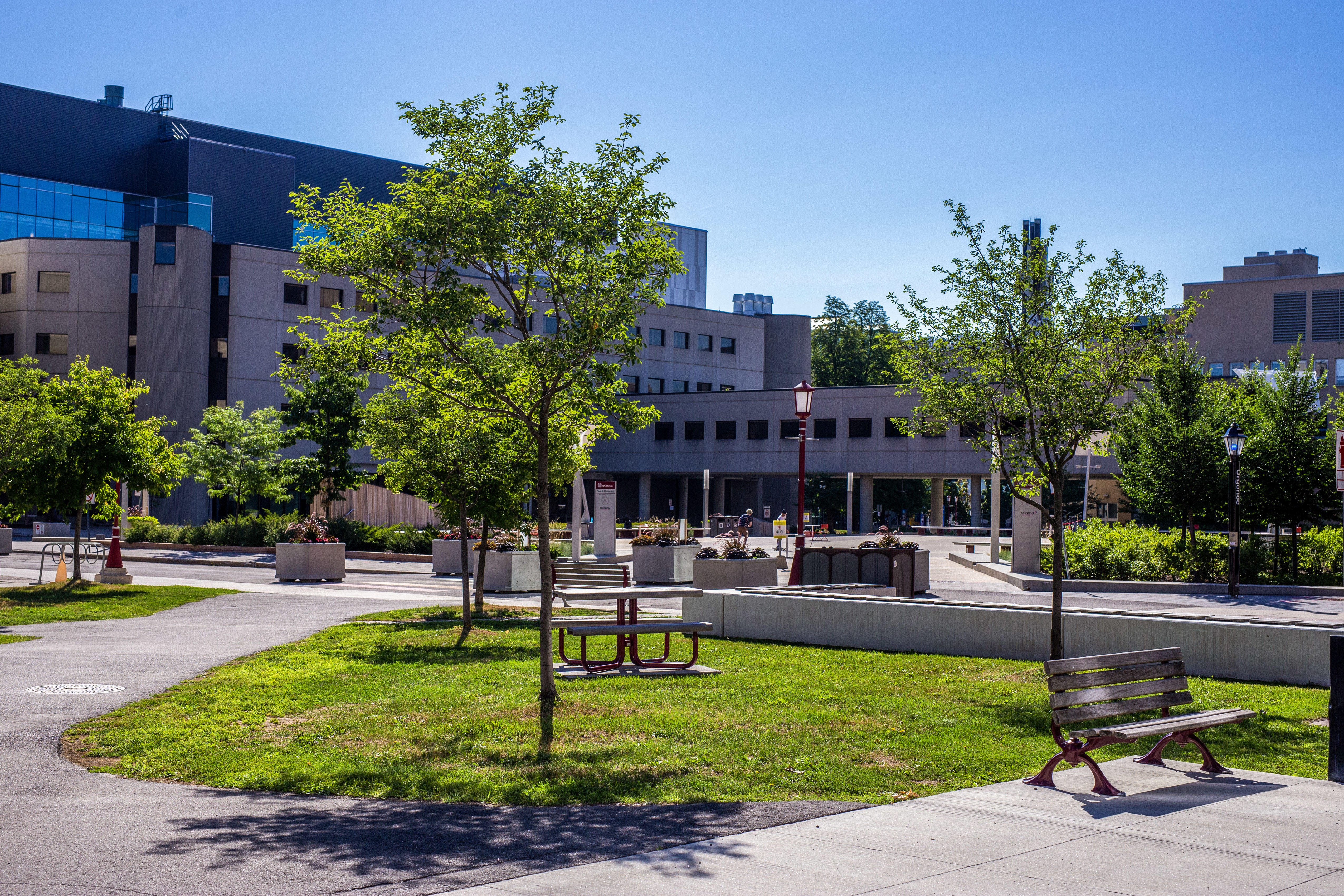 research-network-university-of-ottawa