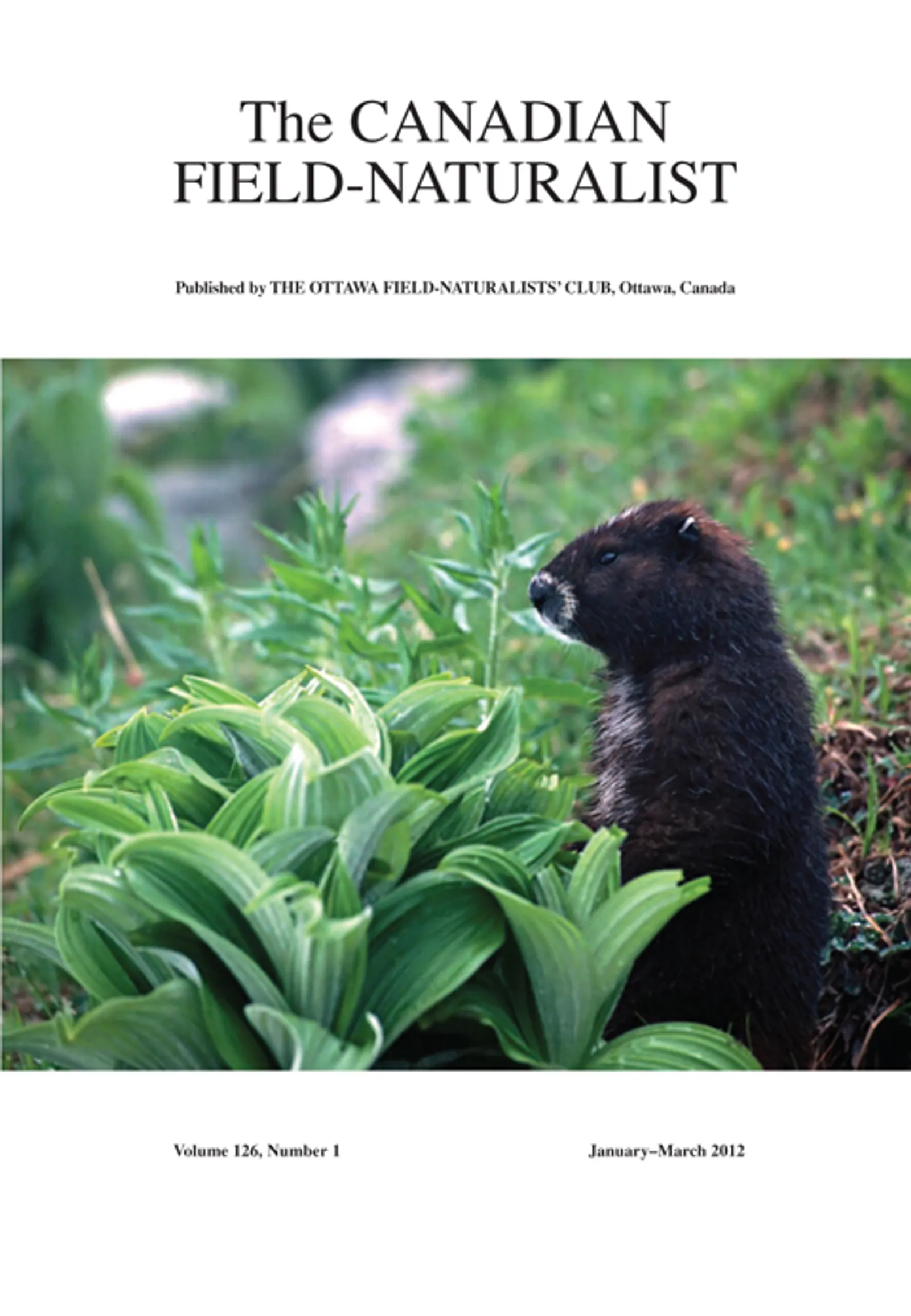 Profile banner for reference 22950