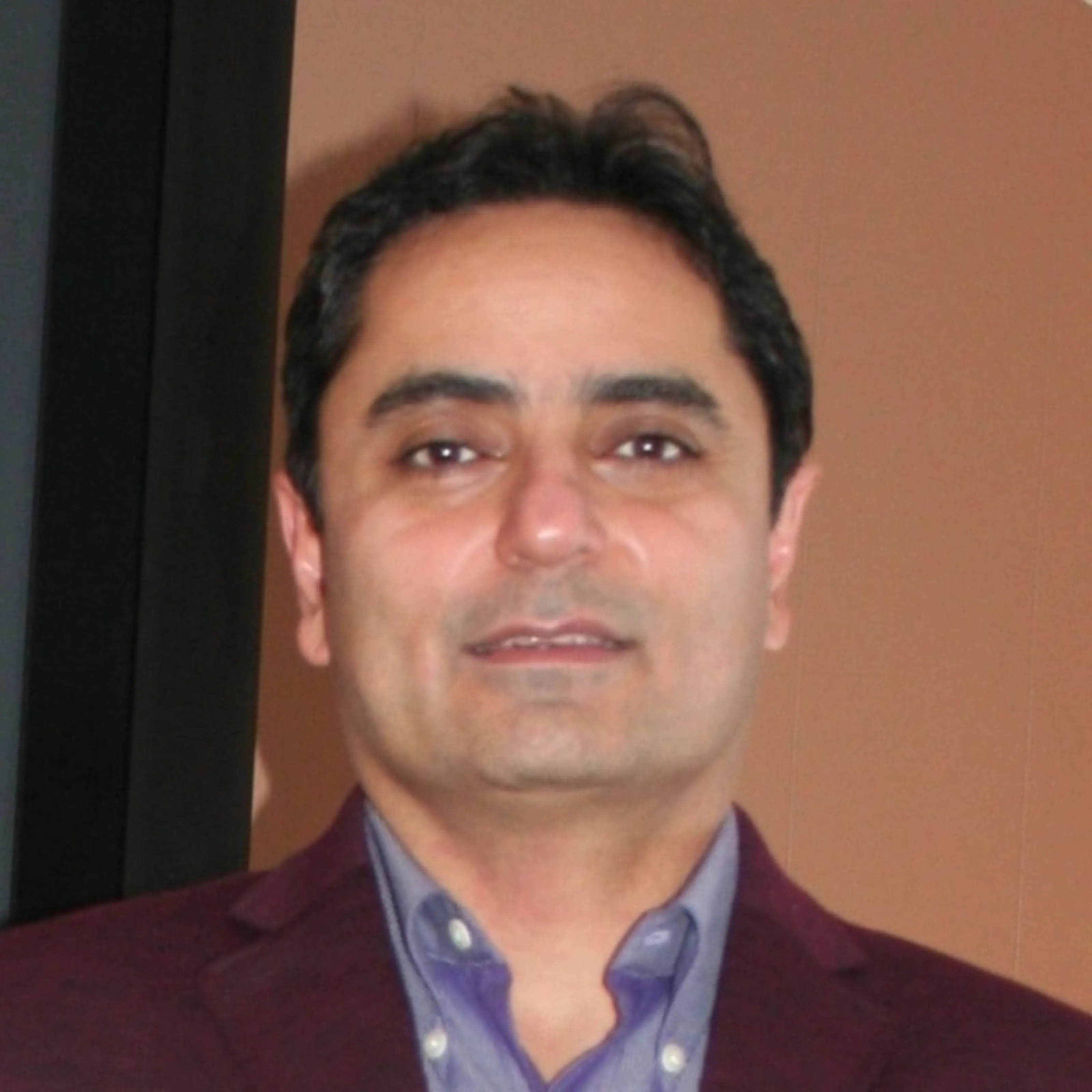 Amir-Hossein Razavi