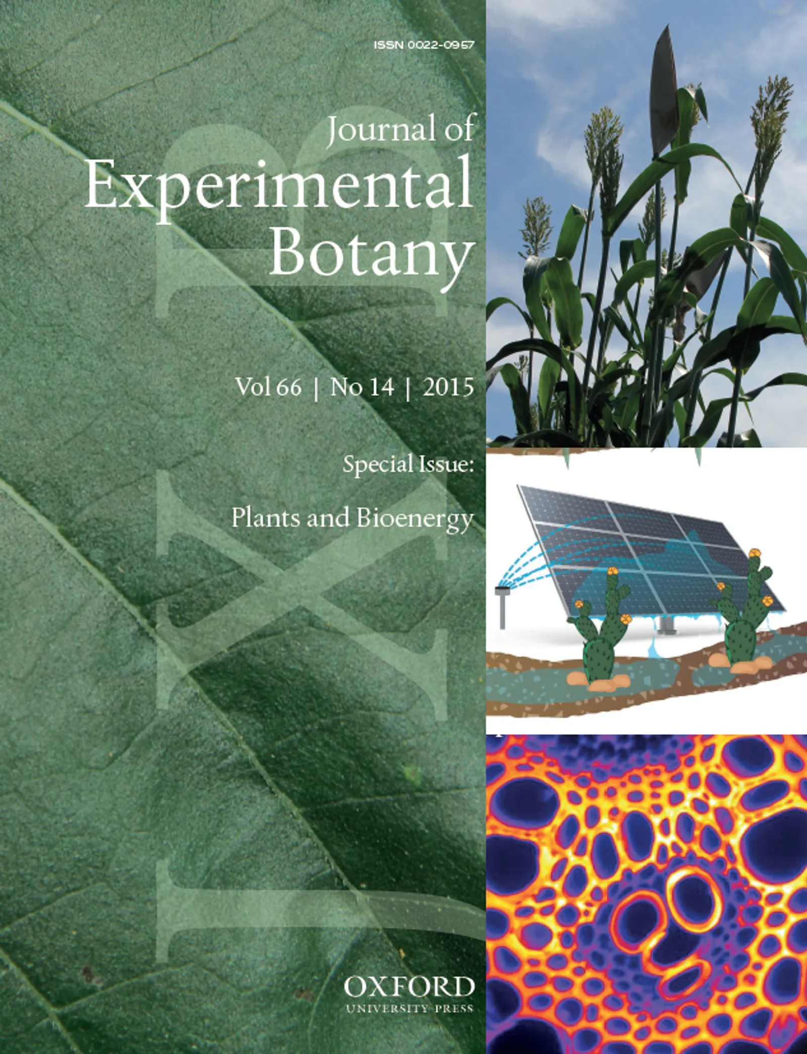 Profile banner for reference 22944