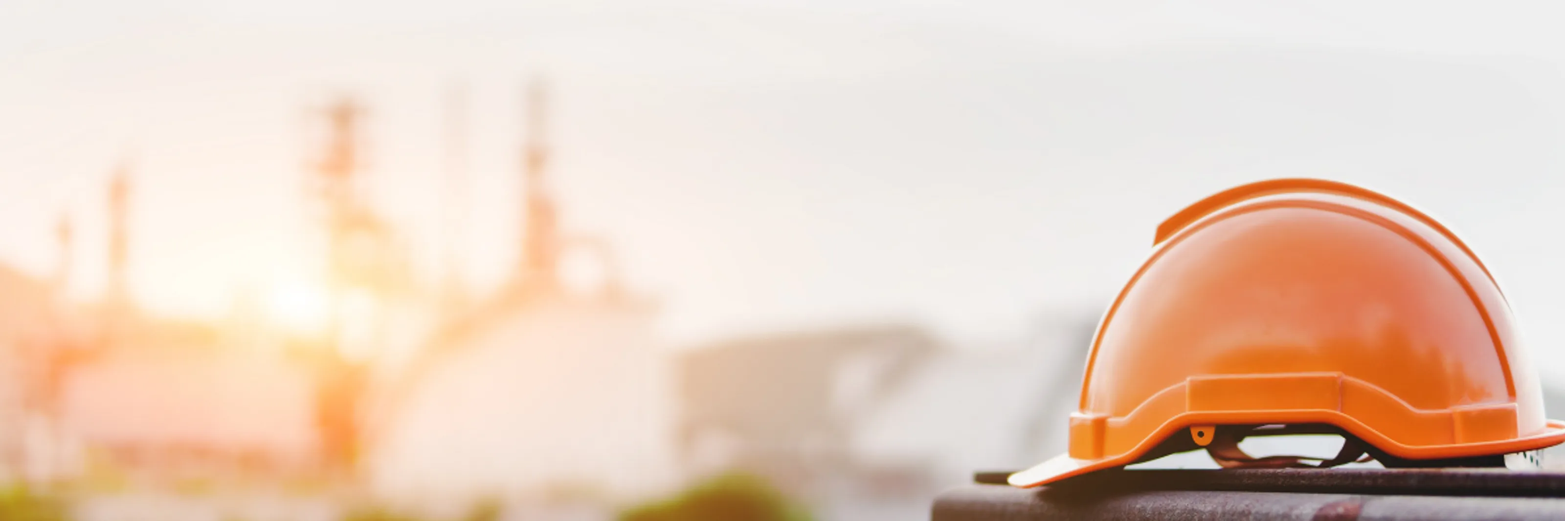 L'image d'arrière-plan.