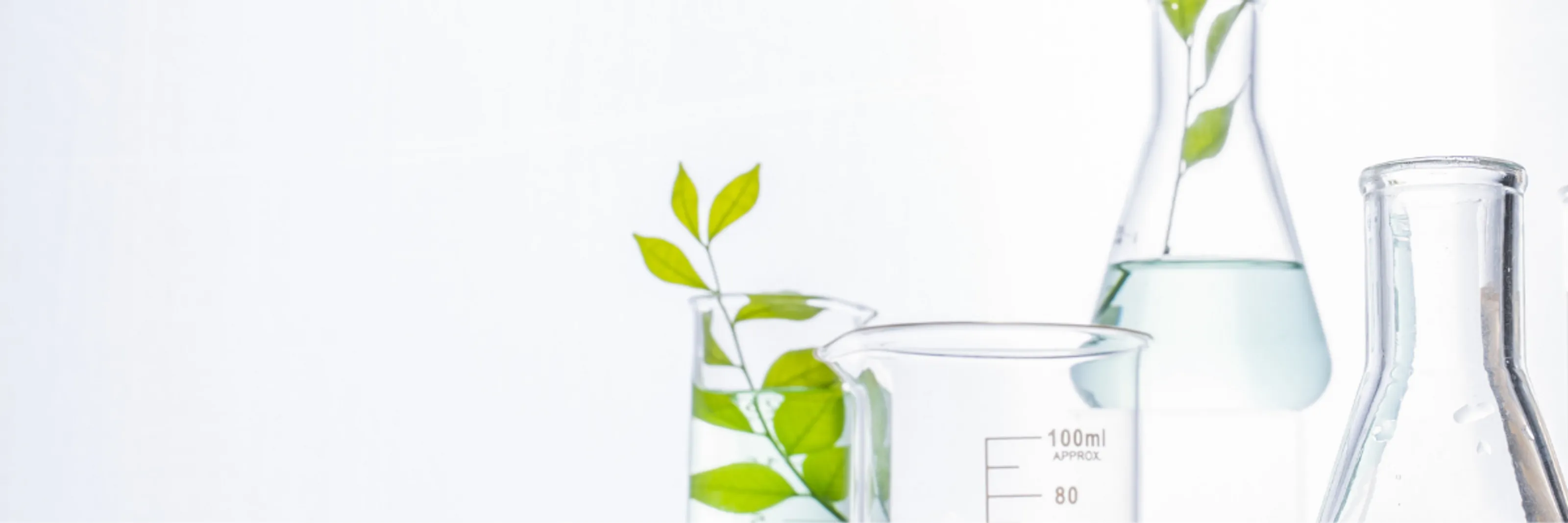 L'image d'arrière-plan.